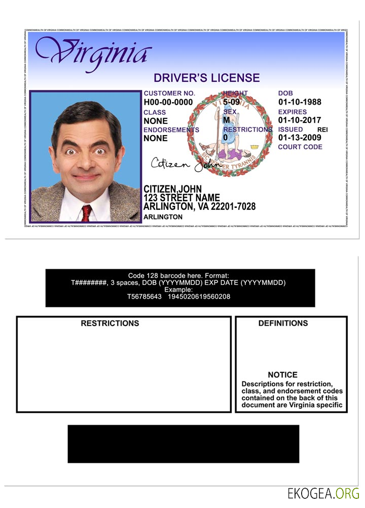 USA Virgina DL version 2